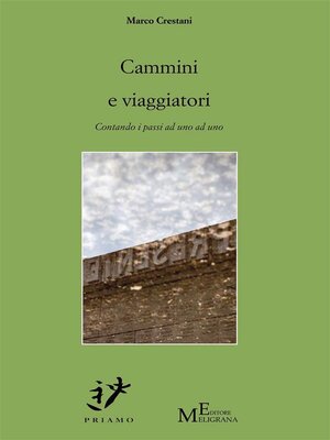 cover image of Cammini e viaggiatori